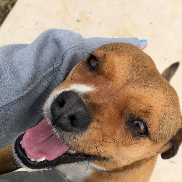 Meet your Posher, Skylar - Picture 1 of 1